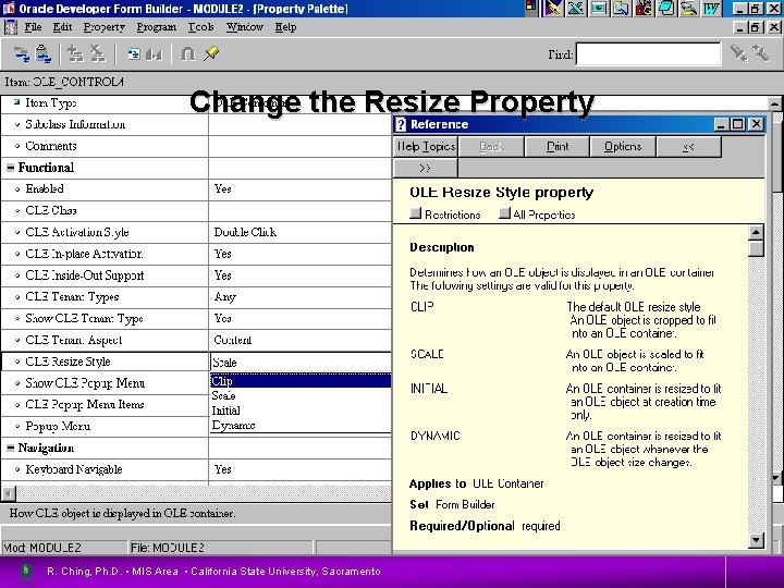 Change the Resize Property R. Ching, Ph. D. • MIS Area • California State