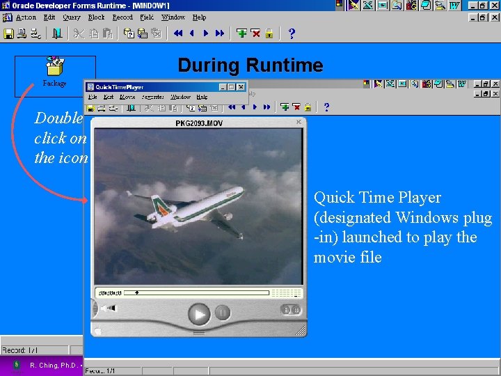 During Runtime 46 Double click on the icon Quick Time Player (designated Windows plug