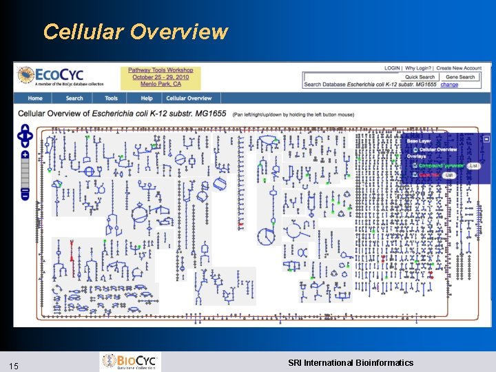 Cellular Overview 15 SRI International Bioinformatics Cellular Overview 15 SRI International Bioinformatics