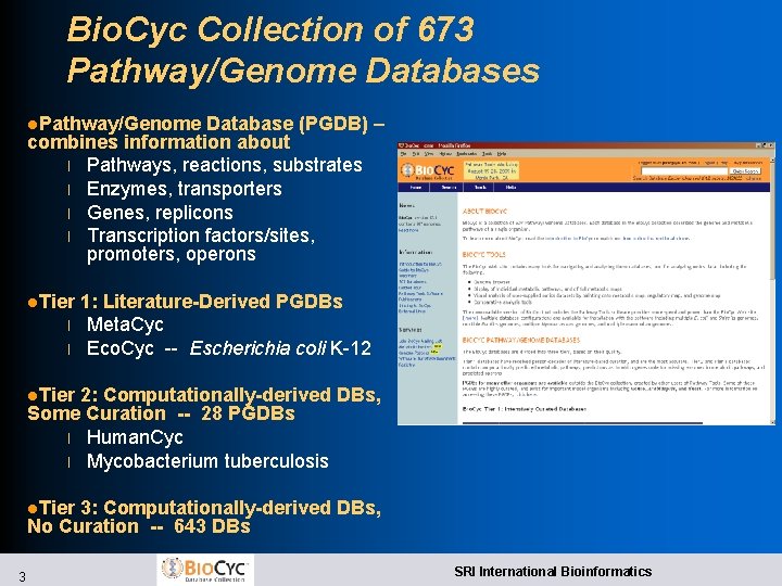 Bio. Cyc Collection of 673 Pathway/Genome Databases l. Pathway/Genome Database (PGDB) – combines information Bio. Cyc Collection of 673 Pathway/Genome Databases l. Pathway/Genome Database (PGDB) – combines information