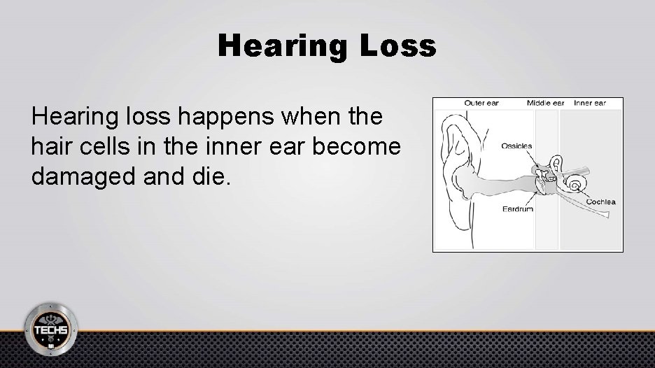 Hearing Loss Hearing loss happens when the hair cells in the inner ear become