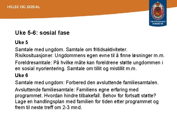 Uke 5 -6: sosial fase Uke 5 Samtale med ungdom. Samtale om fritidsaktiviteter. Risikosituasjoner.