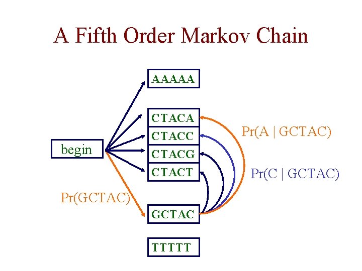 A Fifth Order Markov Chain AAAAA begin CTACA CTACC CTACG CTACT Pr(GCTAC) GCTAC TTTTT