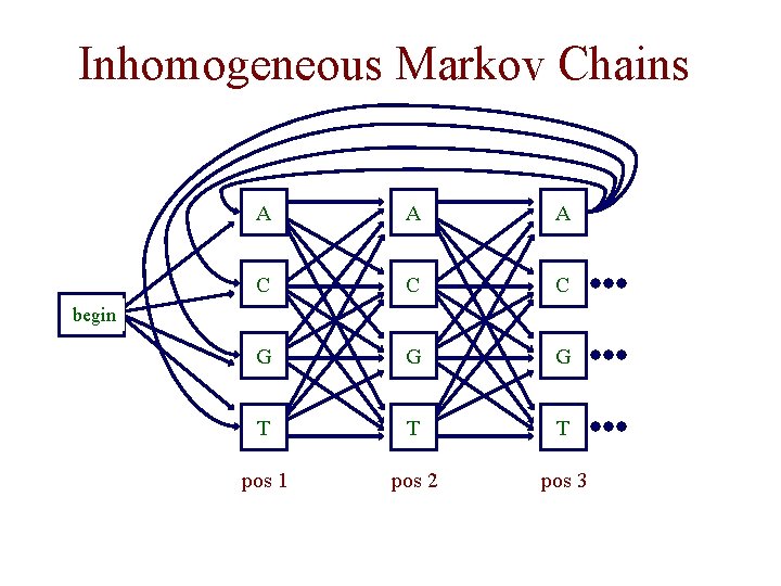 Inhomogeneous Markov Chains A A A C C C G G G T T