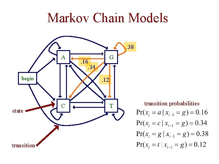 Markov Chain Models. 38 A begin state transition . 16. 34 G . 12