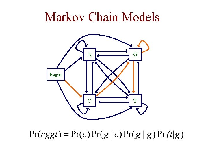 Markov Chain Models A G C T begin 