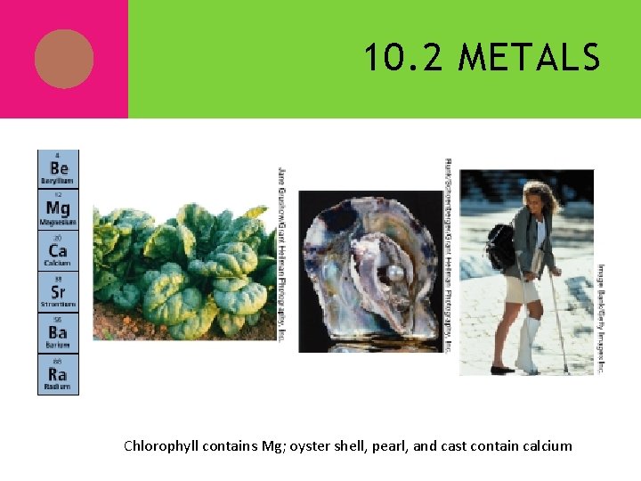 10. 2 METALS Chlorophyll contains Mg; oyster shell, pearl, and cast contain calcium 