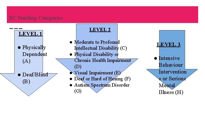 BC Funding Categories LEVEL 1 ● Physically Dependent (A) ● Deaf/Blind (B) LEVEL 2