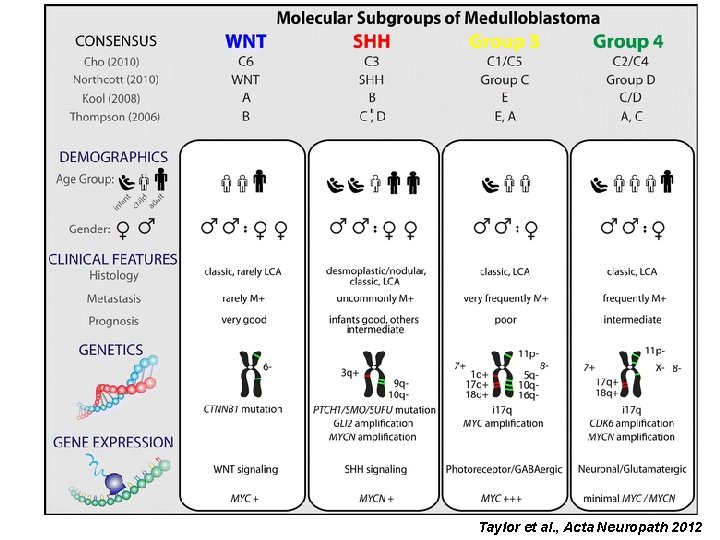 Taylor et al. , Acta Neuropath 2012 