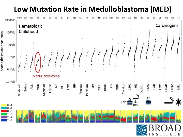 Low Mutation Rate in Medulloblastoma (MED) Medulloblastoma 
