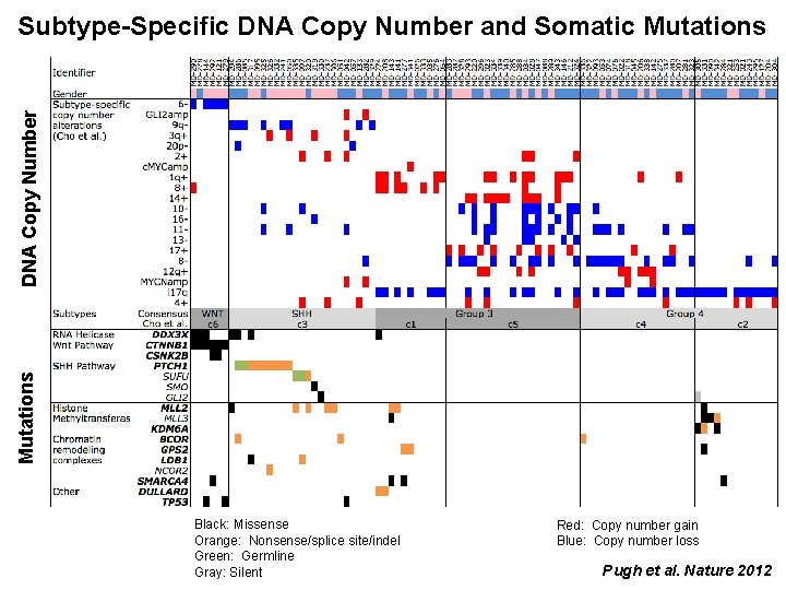 Mutations DNA Copy Number Subtype-Specific DNA Copy Number and Somatic Mutations Black: Missense Orange: