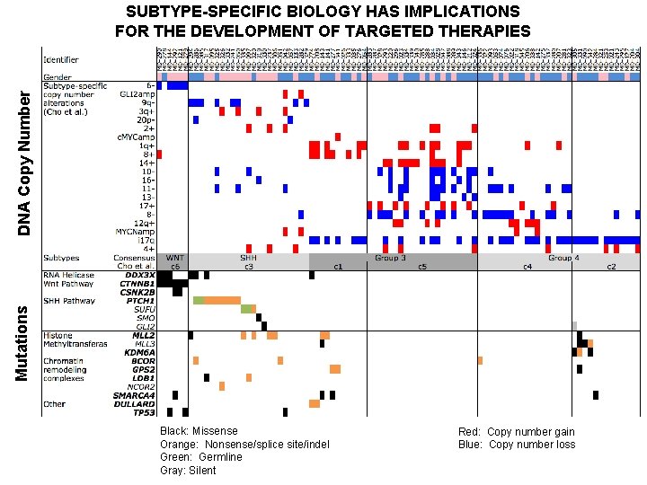 Mutations DNA Copy Number SUBTYPE-SPECIFIC BIOLOGY HAS IMPLICATIONS FOR THE DEVELOPMENT OF TARGETED THERAPIES