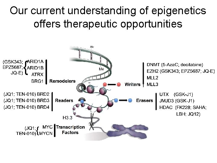 Our current understanding of epigenetics offers therapeutic opportunities 