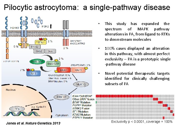 Pilocytic astrocytoma: a single-pathway disease Jones et al. Nature Genetics 2013 • This study