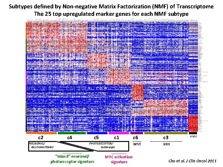 Subtypes defined by Non-negative Matrix Factorization (NMF) of Transcriptome The 25 top upregulated marker