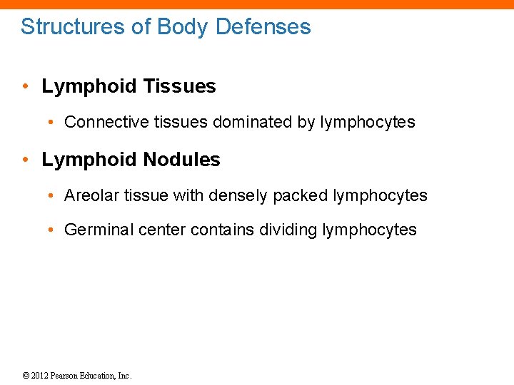 Structures of Body Defenses • Lymphoid Tissues • Connective tissues dominated by lymphocytes •