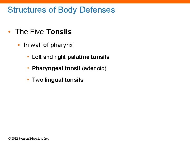 Structures of Body Defenses • The Five Tonsils • In wall of pharynx •