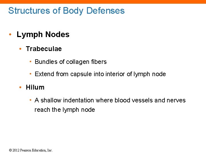 Structures of Body Defenses • Lymph Nodes • Trabeculae • Bundles of collagen fibers