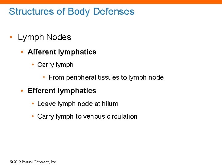 Structures of Body Defenses • Lymph Nodes • Afferent lymphatics • Carry lymph •