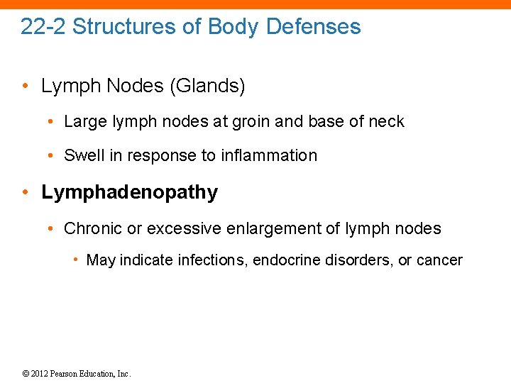 22 -2 Structures of Body Defenses • Lymph Nodes (Glands) • Large lymph nodes