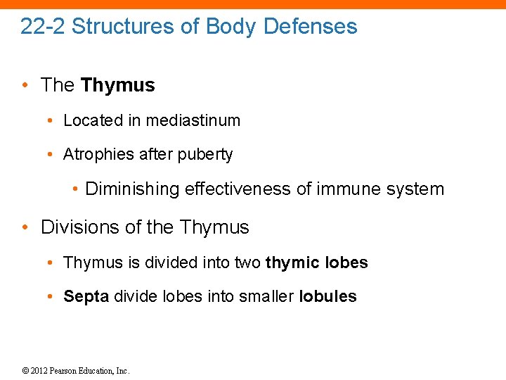 22 -2 Structures of Body Defenses • The Thymus • Located in mediastinum •
