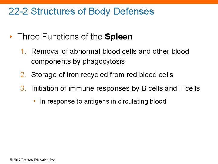 22 -2 Structures of Body Defenses • Three Functions of the Spleen 1. Removal