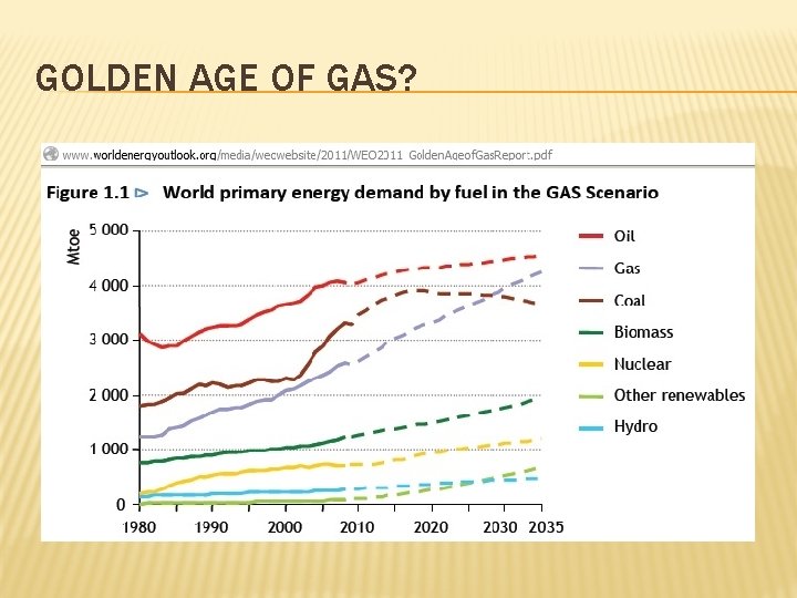 GOLDEN AGE OF GAS? 