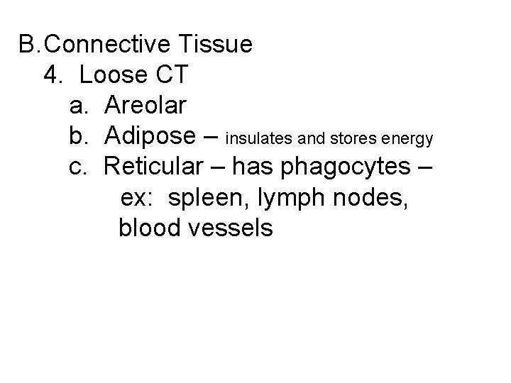 B. Connective Tissue 4. Loose CT a. Areolar b. Adipose – insulates and stores