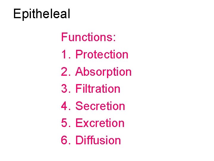 Epitheleal Functions: 1. Protection 2. Absorption 3. Filtration 4. Secretion 5. Excretion 6. Diffusion