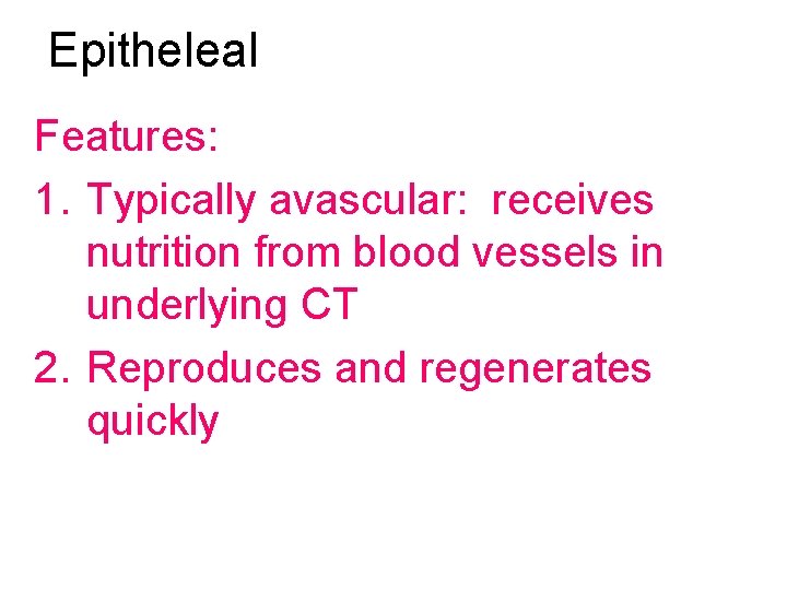 Epitheleal Features: 1. Typically avascular: receives nutrition from blood vessels in underlying CT 2.