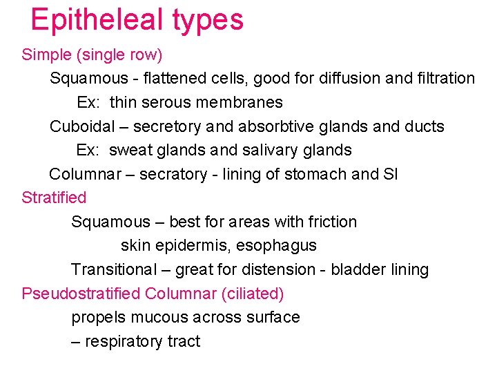 Epitheleal types Simple (single row) Squamous - flattened cells, good for diffusion and filtration