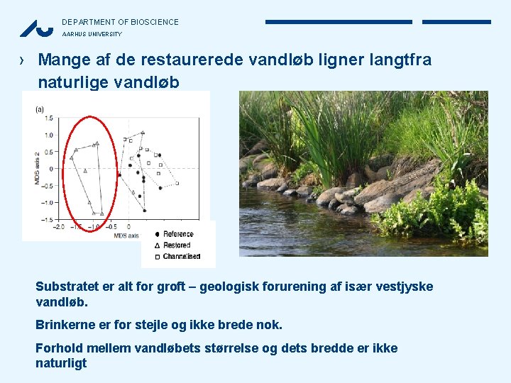 DEPARTMENT OF BIOSCIENCE AARHUS UNIVERSITY › Mange af de restaurerede vandløb ligner langtfra naturlige