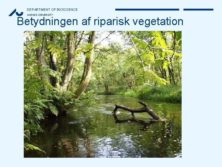 DEPARTMENT OF BIOSCIENCE AARHUS UNIVERSITY Betydningen af riparisk vegetation 