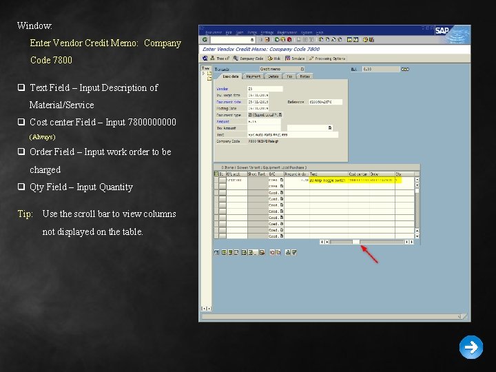 Window: Enter Vendor Credit Memo: Company Code 7800 q Text Field – Input Description