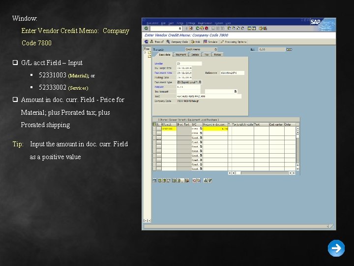 Window: Enter Vendor Credit Memo: Company Code 7800 q G/L acct Field – Input