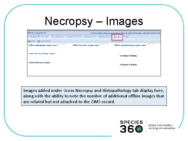 Necropsy – Images added under Gross Necropsy and Histopathology tab display here, along with