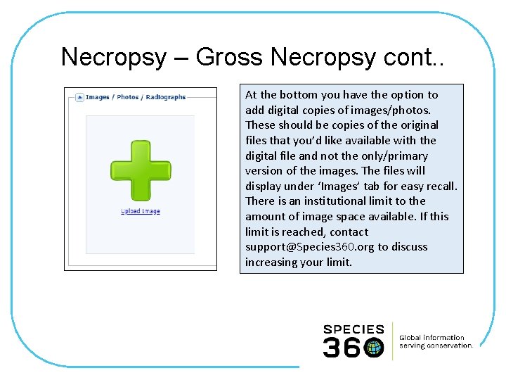 Necropsy – Gross Necropsy cont. . At the bottom you have the option to