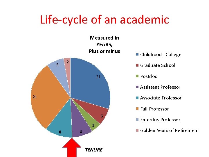 Life-cycle of an academic Measured in YEARS, Plus or minus 2 5 Childhood -