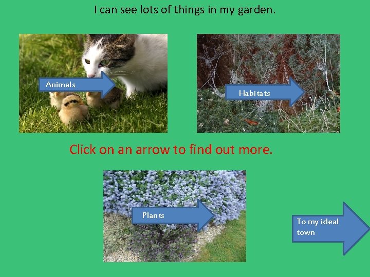 I can see lots of things in my garden. Animals Habitats Click on an