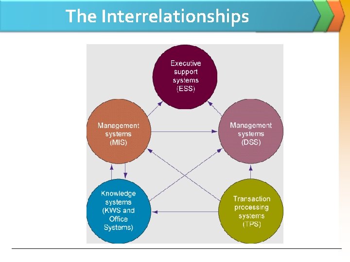 The Interrelationships 
