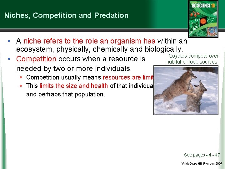 Niches, Competition and Predation • A niche refers to the role an organism has