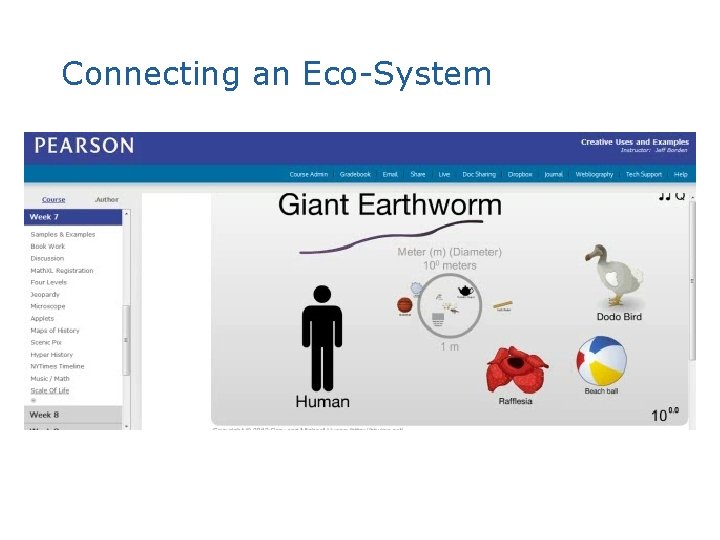 Connecting an Eco-System 