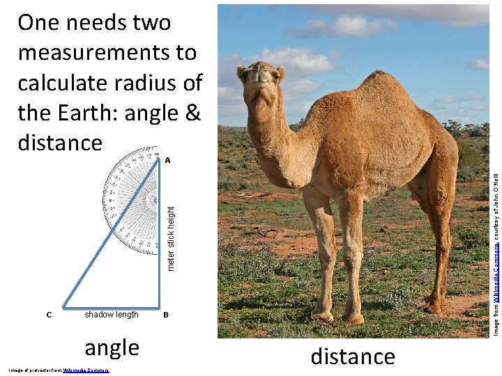 One needs two measurements to calculate radius of the Earth: angle & distance meter