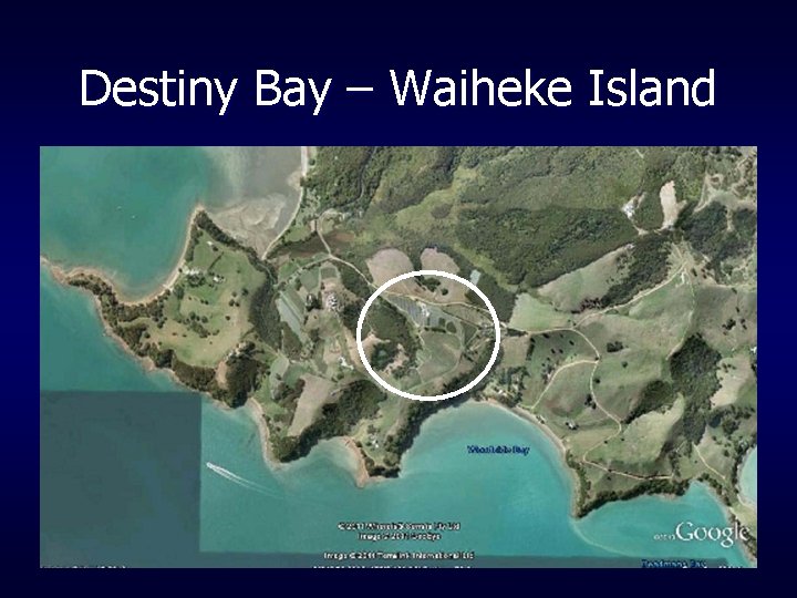 Destiny Bay – Waiheke Island 