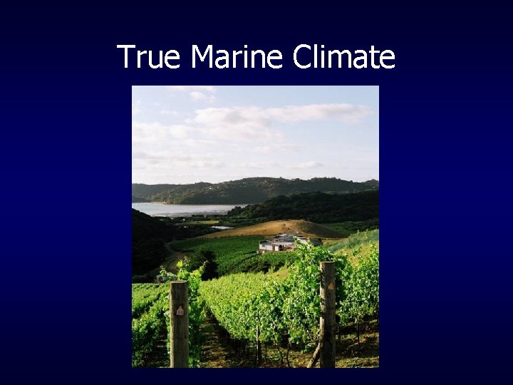 True Marine Climate 