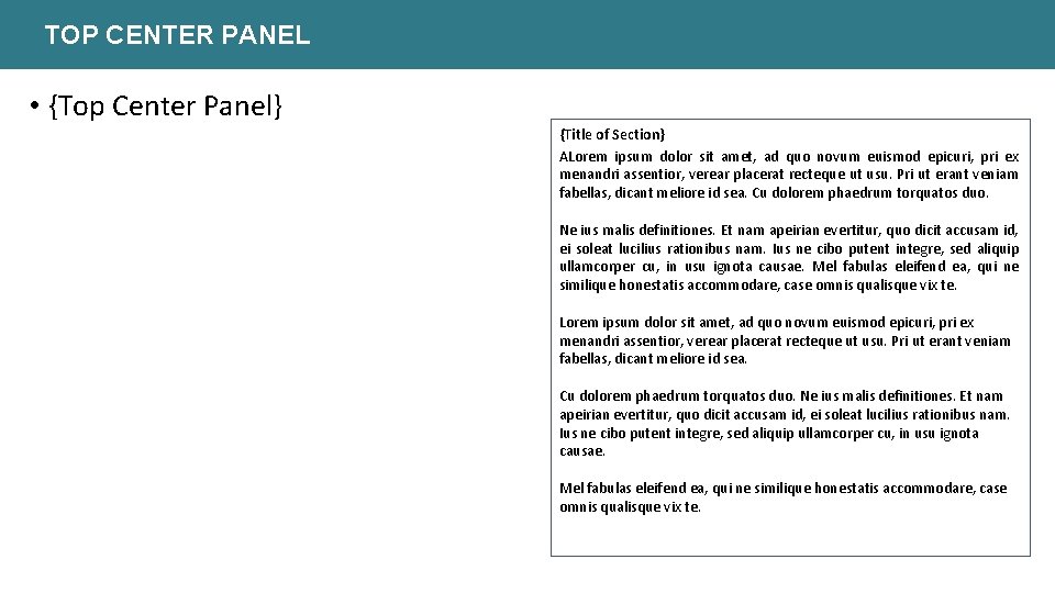 TOP CENTER PANEL • {Top Center Panel} {Title of Section} ALorem ipsum dolor sit