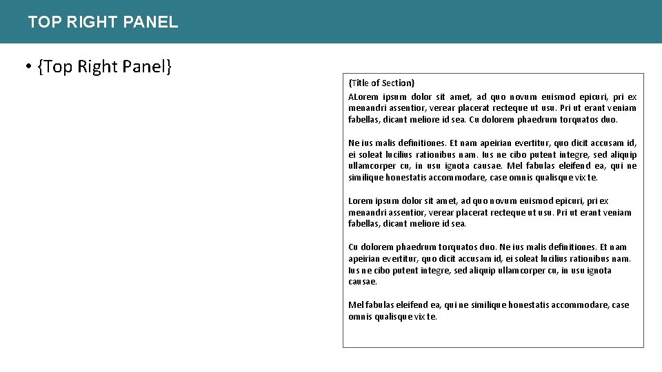 TOP RIGHT PANEL • {Top Right Panel} {Title of Section} ALorem ipsum dolor sit