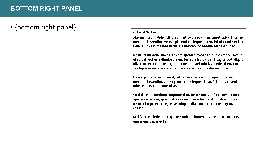 BOTTOM RIGHT PANEL • {bottom right panel} {Title of Section} ALorem ipsum dolor sit