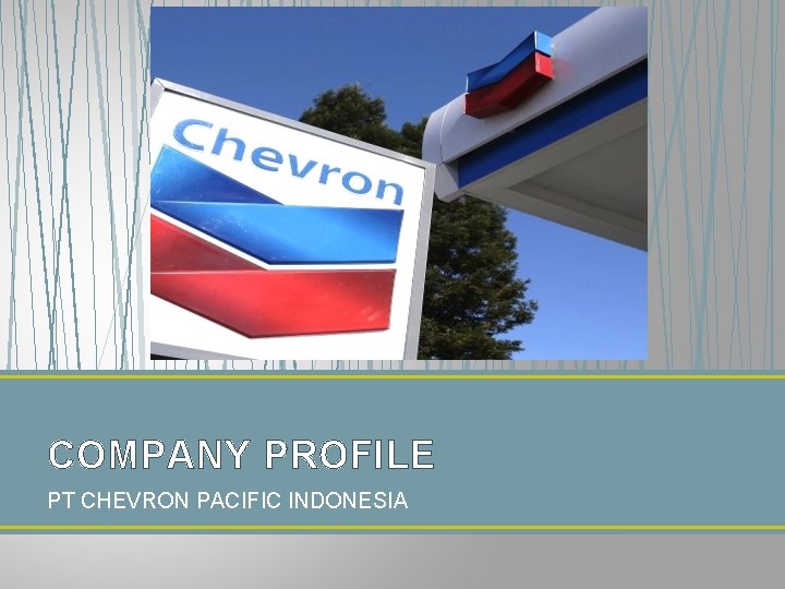 COMPANY PROFILE PT CHEVRON PACIFIC INDONESIA 