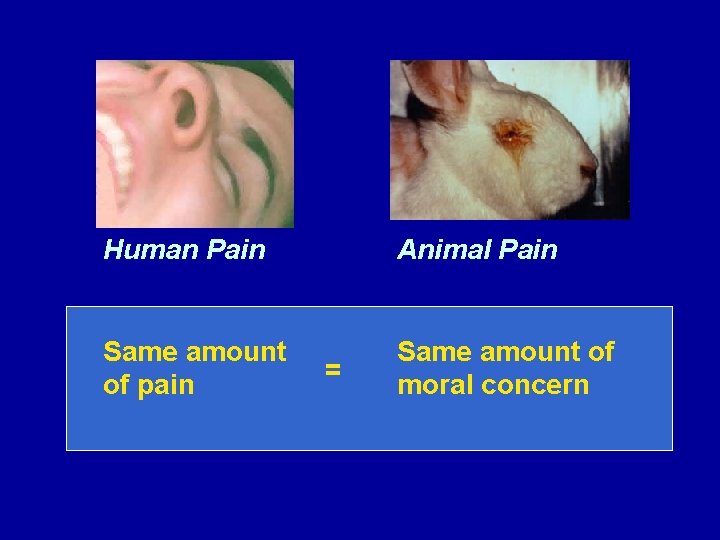Human Pain Animal Pain Same amount of pain Same amount of moral concern =